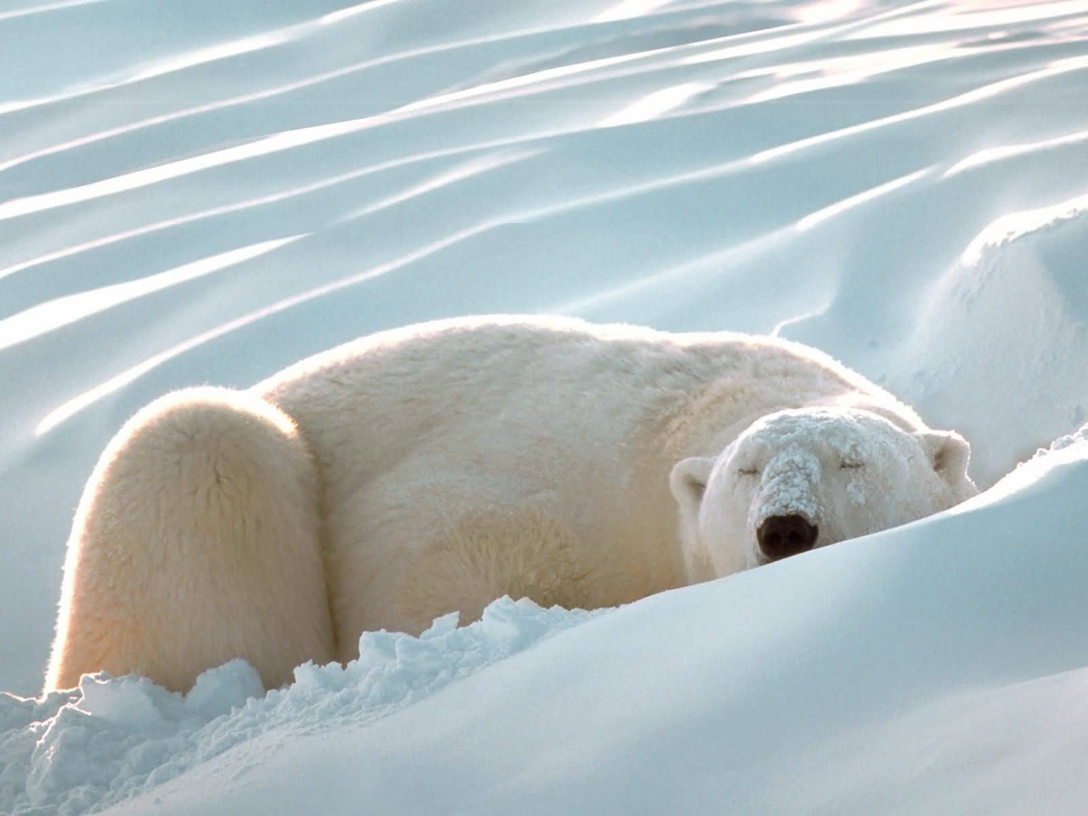 Woman sleeping peacefully